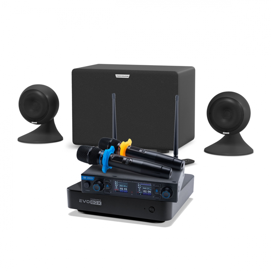 караоке-комплект EVOBOX + EvoSound Sphere 2.1 в Чишмах
