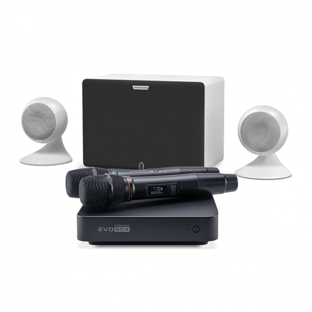 караоке-комплект EVOBOX Classic + EvoSound Sphere 2.1 в Чишмах