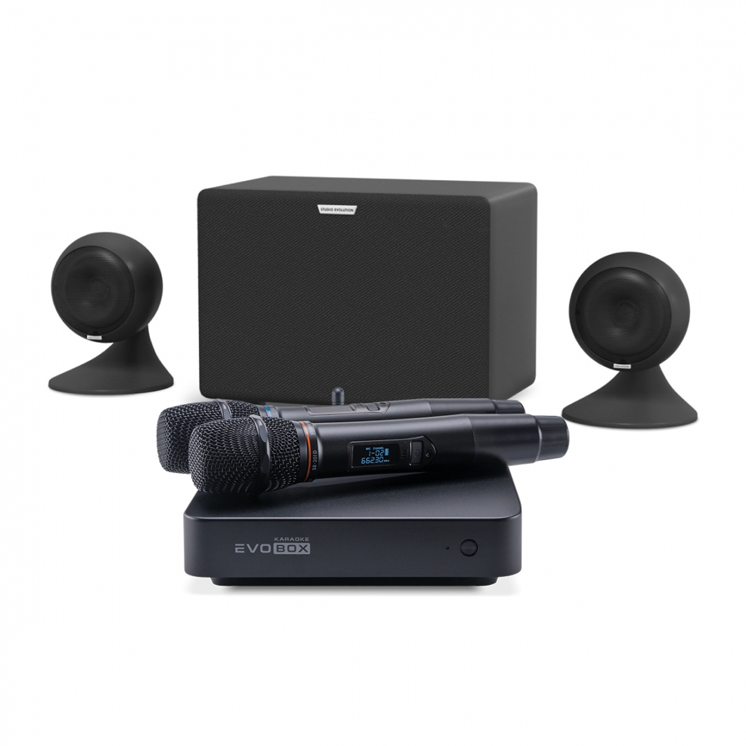 караоке-комплект EVOBOX Plus + EvoSound Sphere 2.1 в Чишмах