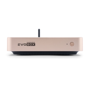 EVOBOX Classic караоке-система для дома в Чишмах