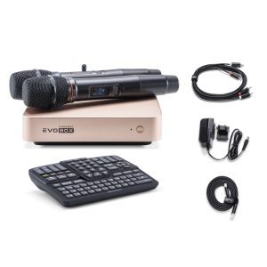 EVOBOX Classic караоке-система для дома в Чишмах