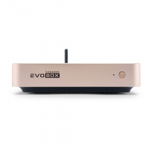 EVOBOX Plus караоке-система для дома в Чишмах