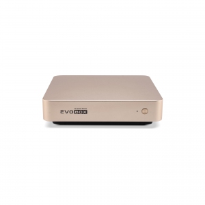 EVOBOX с микрофонами в Чишмах